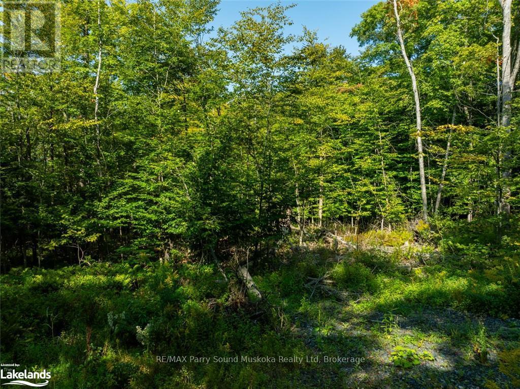 18 Burnside Bridge Road, Mcdougall, Ontario  P2A 2W9 - Photo 18 - X12099746
