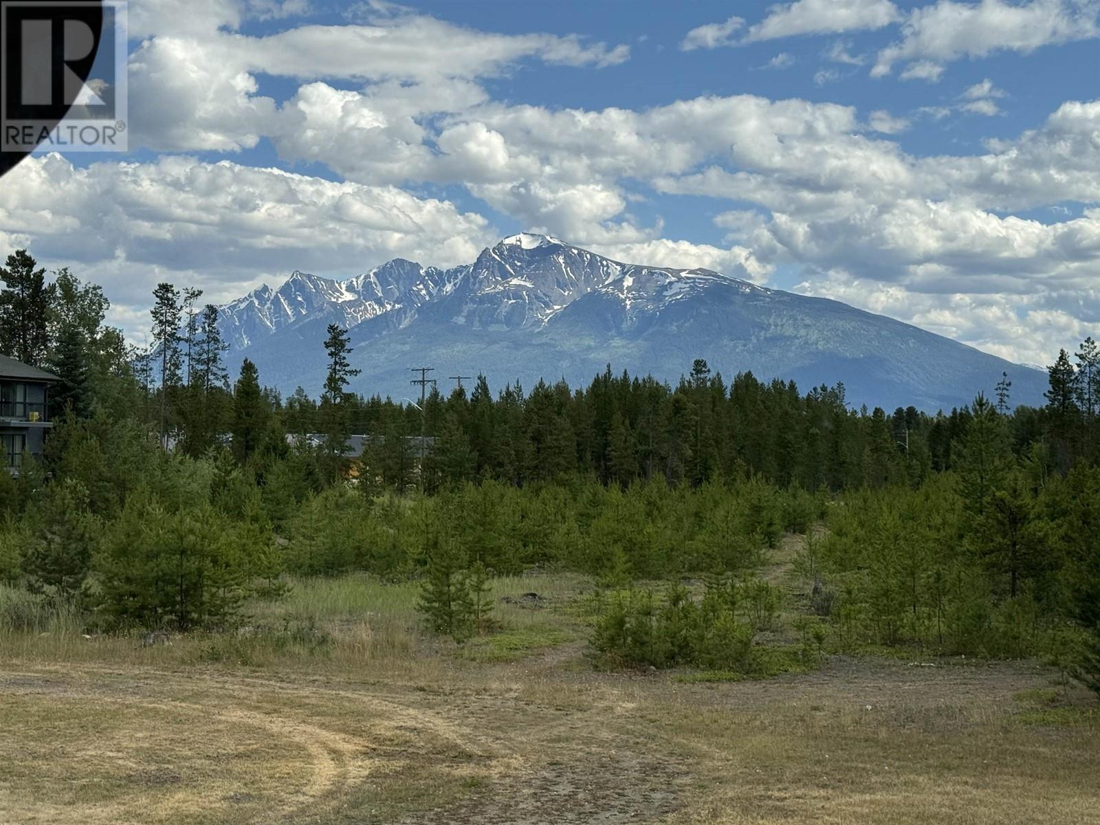 Lorem Ipsum Dol, Valemount, British Columbia  V0E  - Photo 11 - DEMO28205429