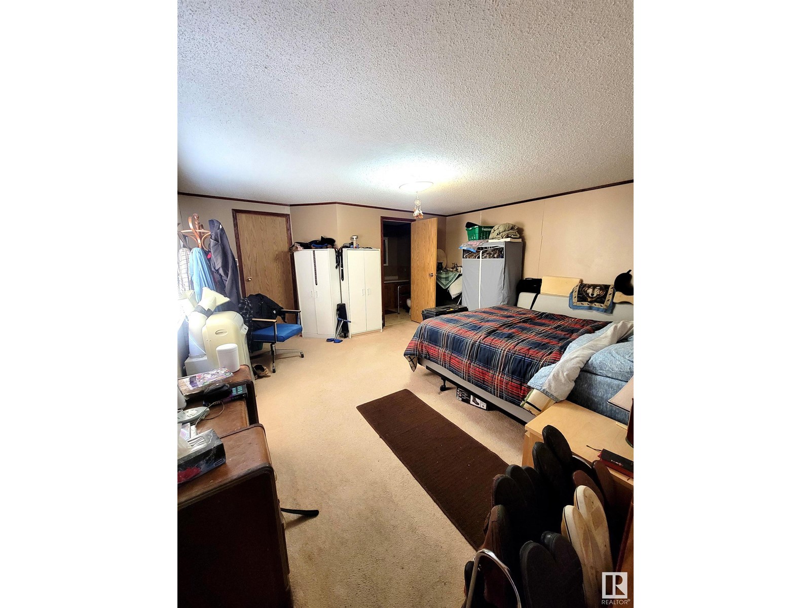 50124 Range Road 203, Rural Beaver County, Alberta  T0B 4J2 - Photo 11 - E4430828