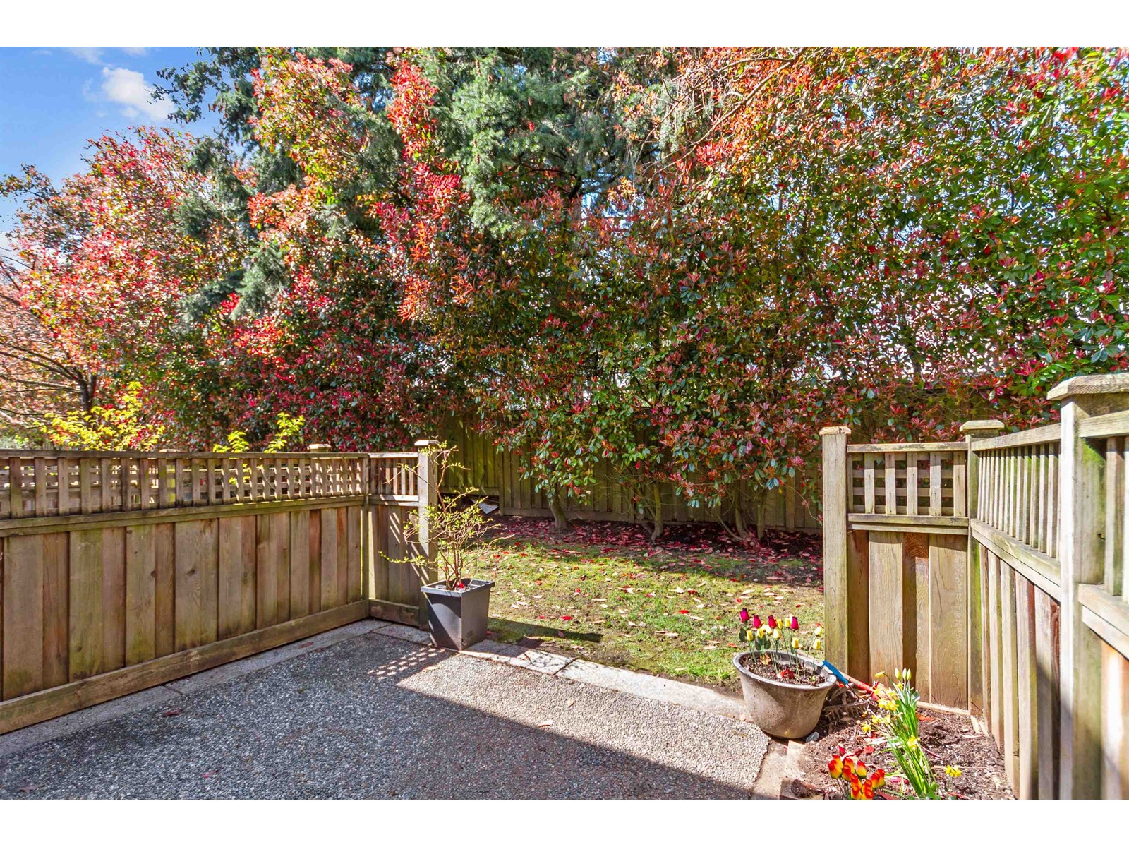 219 7837 120a Street, Surrey, British Columbia  V3W 0W9 - Photo 23 - R2990813