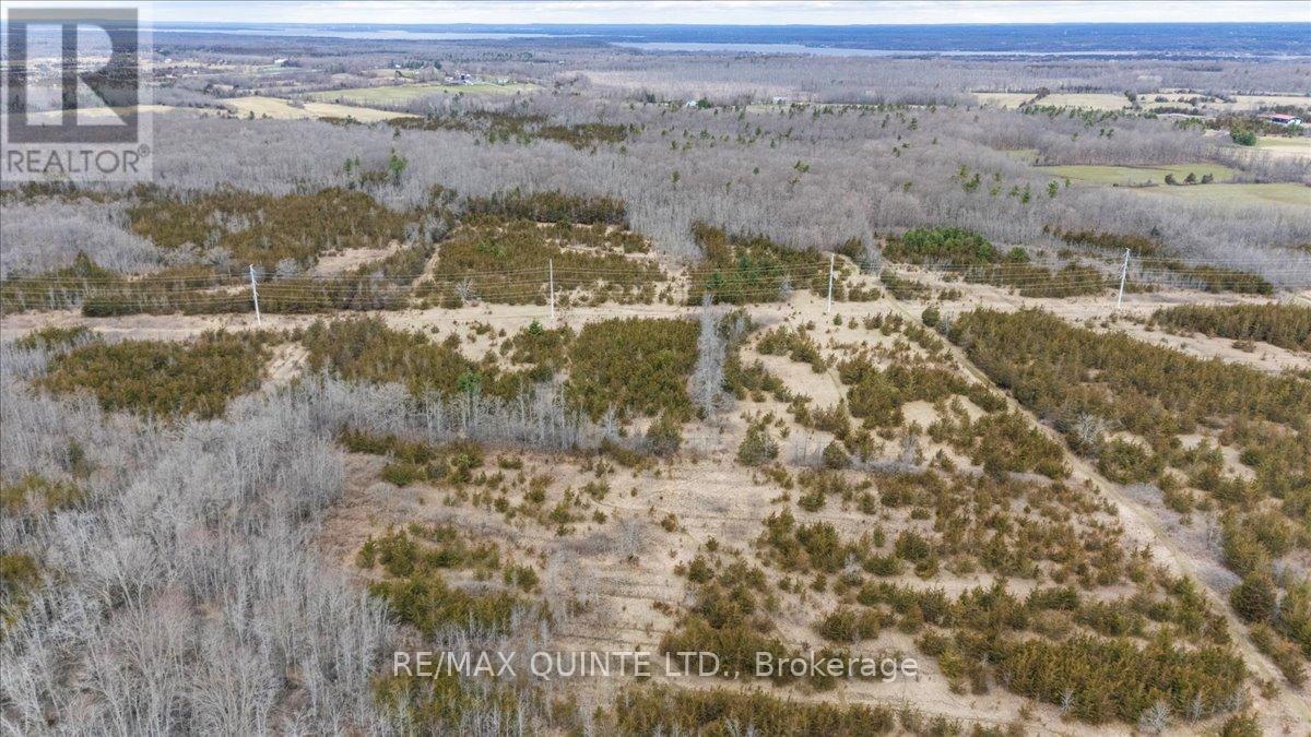 Across From 3904 Cty Rd 49, Prince Edward County, Ontario  K0K 2T0 - Photo 8 - X12099798