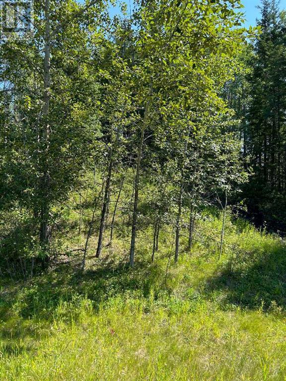 Property at LOT R3 WESTRIDGE ROAD image 1