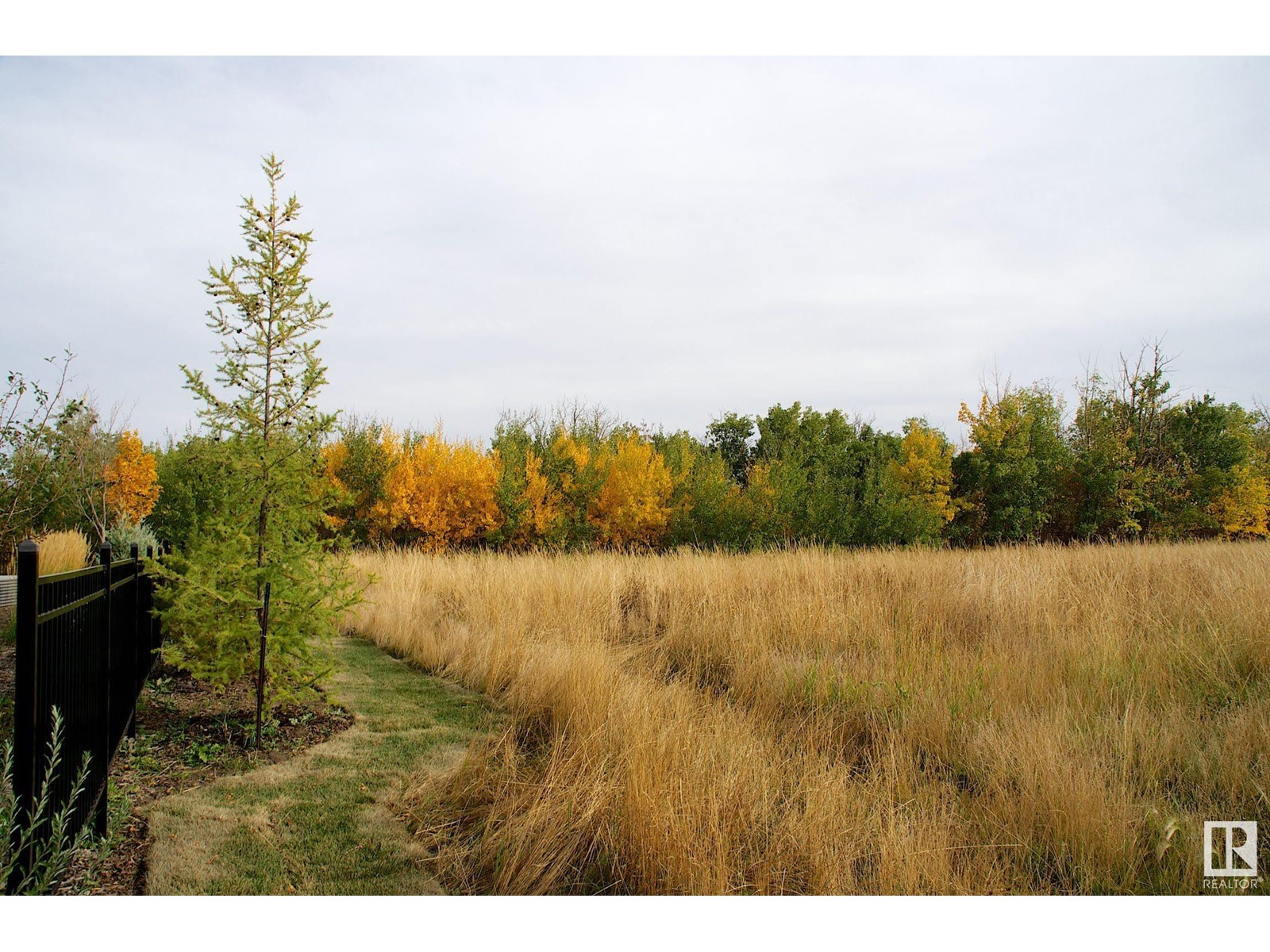 7179 May Cr Nw, Edmonton, Alberta  T6R 0V8 - Photo 50 - E4422427