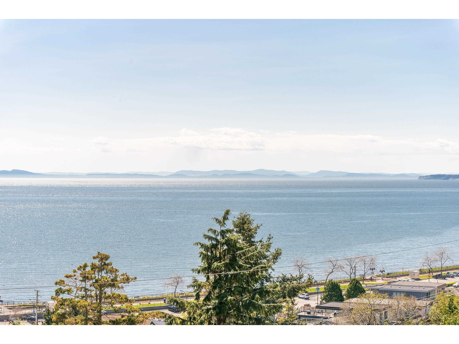 Property at 14847 PROSPECT AVENUE image 1