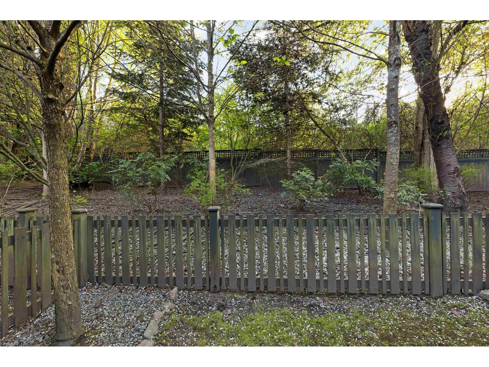 43 6123 138 Street, Surrey, British Columbia  V3X 1E8 - Photo 5 - R2993406