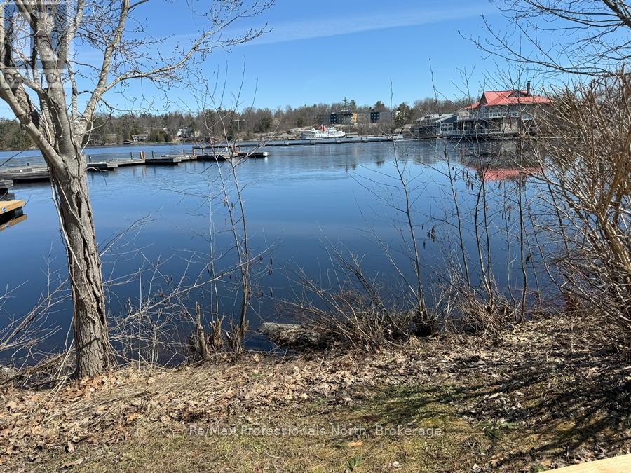 145 Steamship Bay Road, Gravenhurst, Ontario  P1P 1Z9 - Photo 3 - X11921583