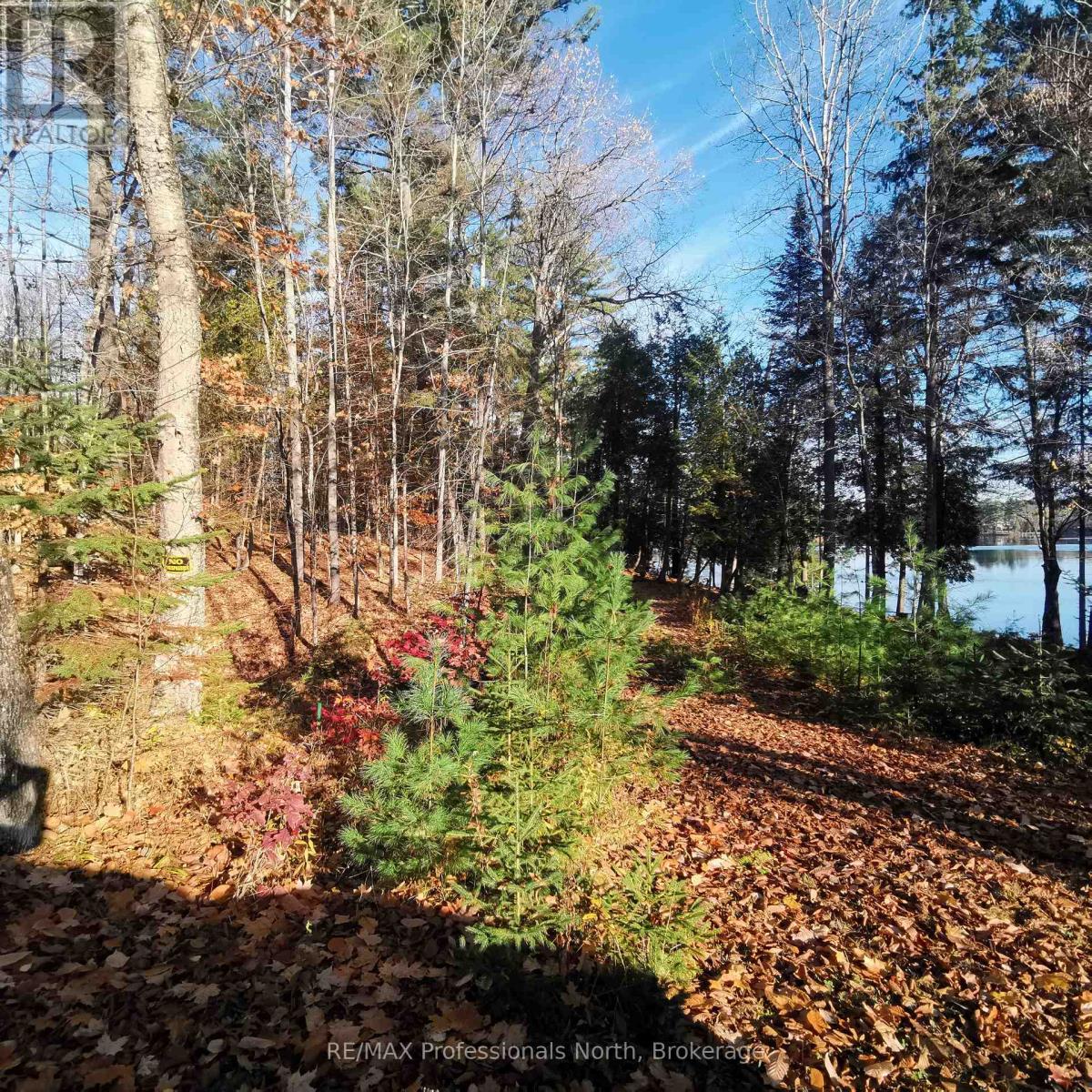 416 Swallowdale Road, Huntsville, Ontario  P1H 0A5 - Photo 6 - X12093325