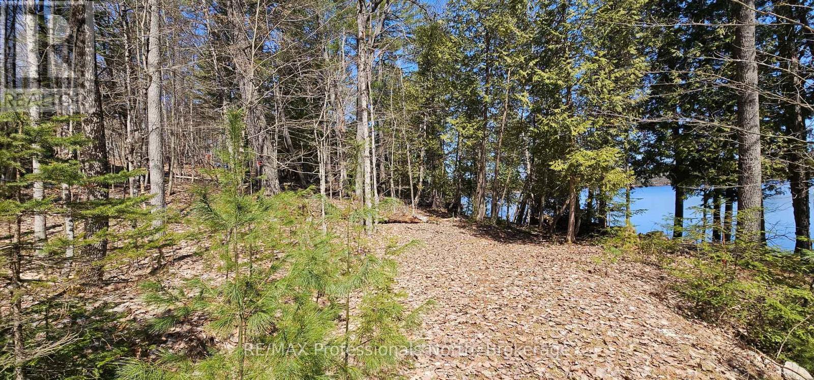 416 Swallowdale Road, Huntsville, Ontario  P1H 0A5 - Photo 10 - X12093325