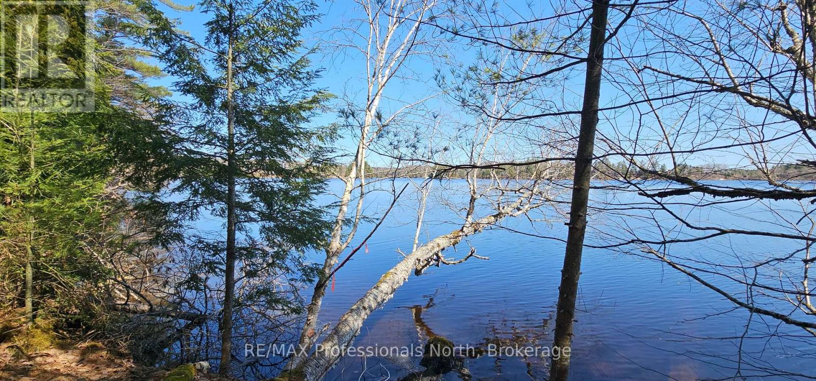 416 Swallowdale Road, Huntsville, Ontario  P1H 0A5 - Photo 8 - X12093325