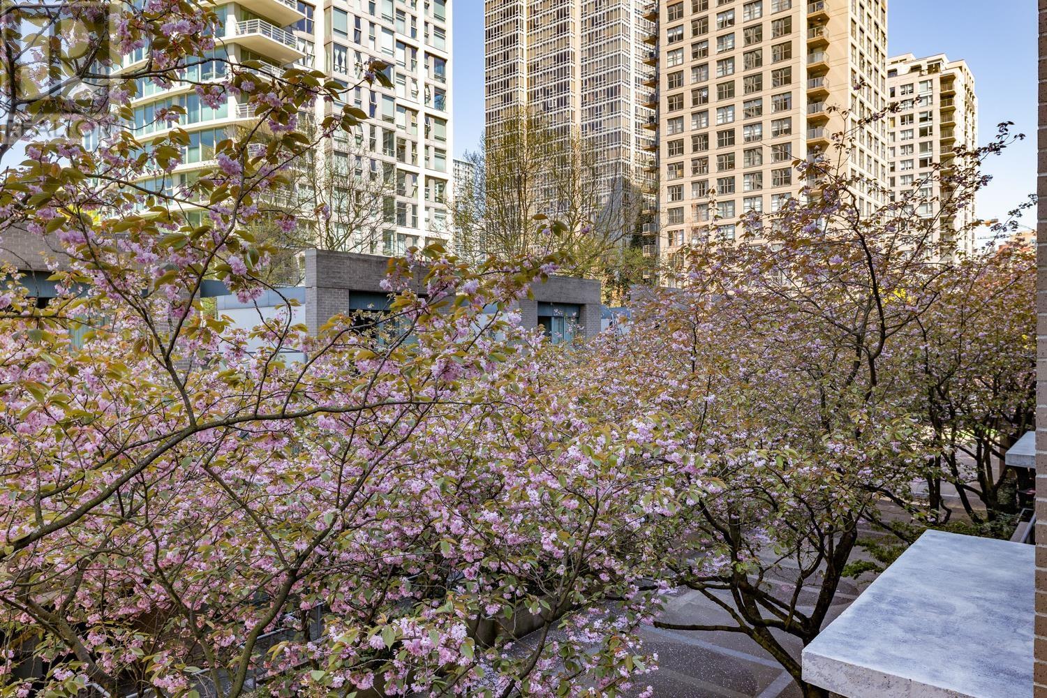 1019 Expo Boulevard, Vancouver, British Columbia  V6Z 2W1 - Photo 19 - R2987446