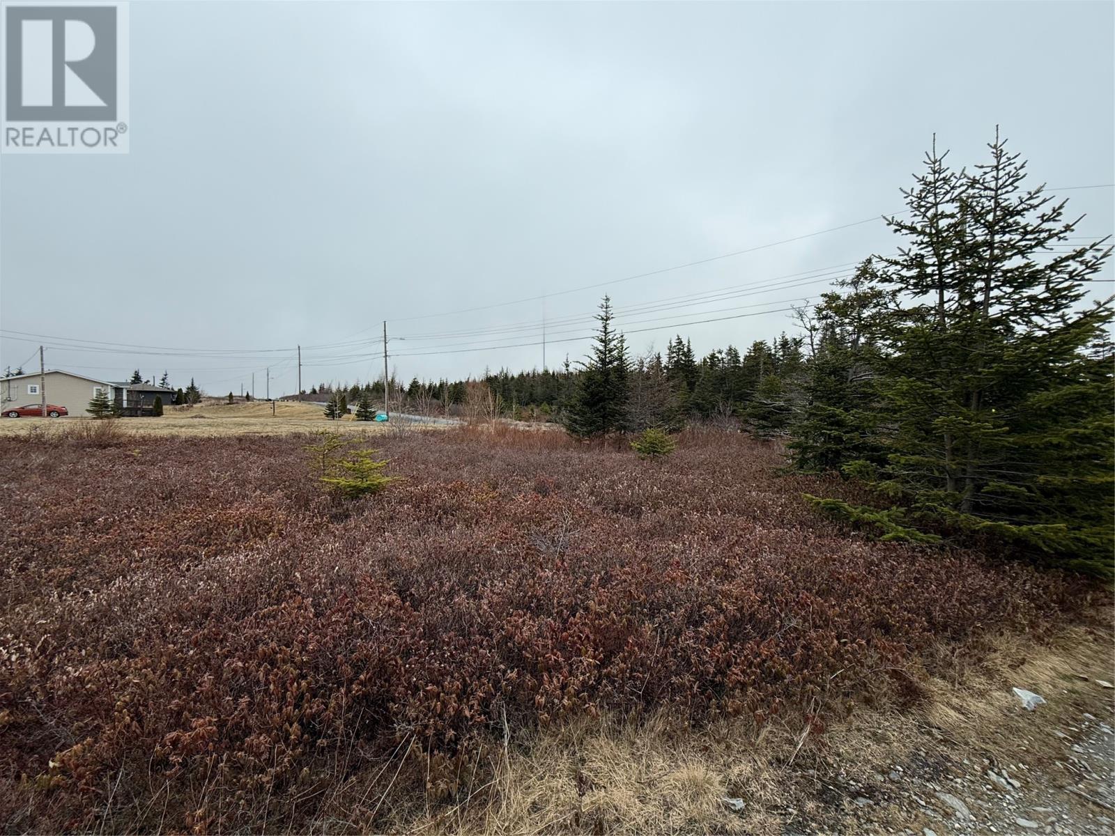 163 Ridge Road, Spaniards Bay, Newfoundland & Labrador  A0A 3X0 - Photo 3 - 1283976