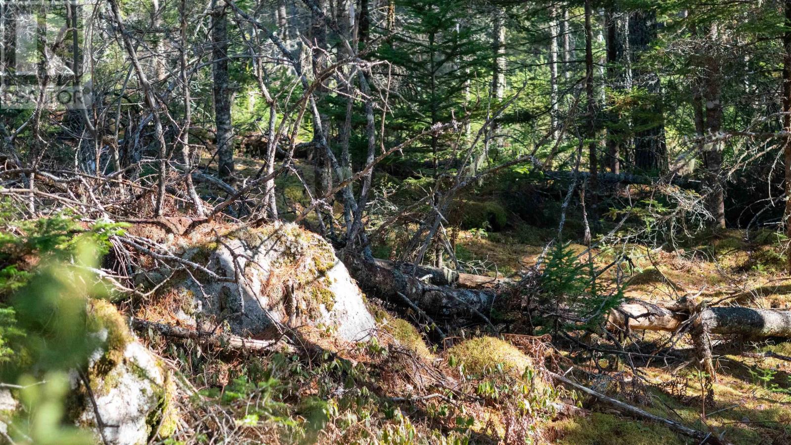 Lot 11 Maple Drive, Lower Ohio, Nova Scotia  B0T 1W0 - Photo 10 - 202508665