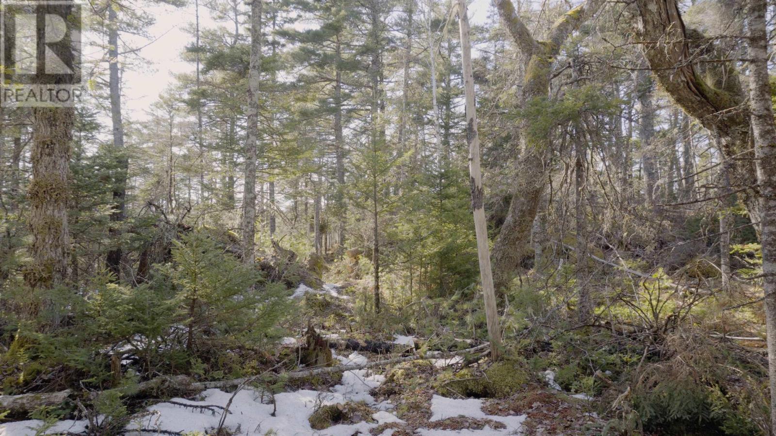 Lot 11 Maple Drive, Lower Ohio, Nova Scotia  B0T 1W0 - Photo 5 - 202508665