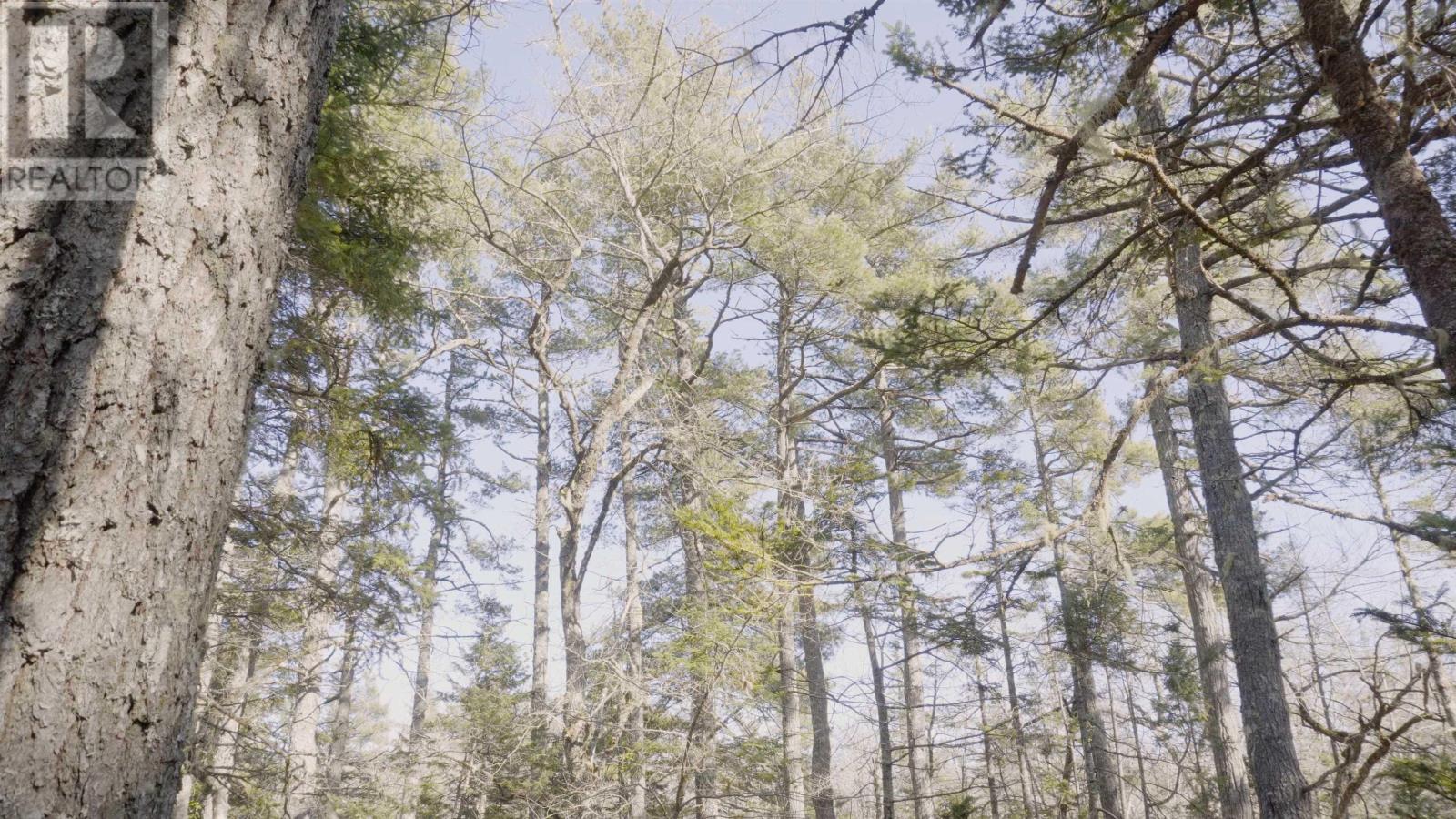Lot 11 Maple Drive, Lower Ohio, Nova Scotia  B0T 1W0 - Photo 6 - 202508665