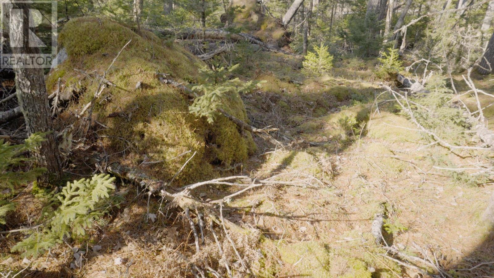 Lot 11 Maple Drive, Lower Ohio, Nova Scotia  B0T 1W0 - Photo 3 - 202508665