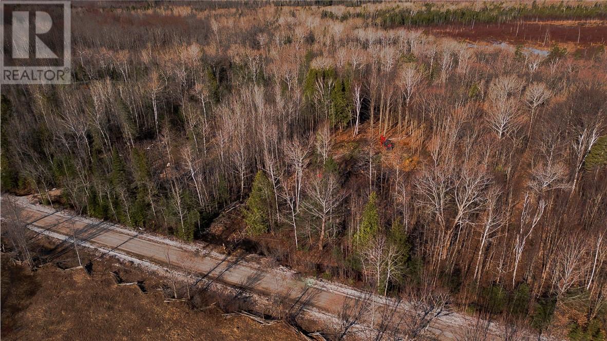 Lot 20 High Falls Road, Assiginack, Ontario  P0P 1N0 - Photo 14 - 2121683