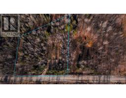 Lot 20 High Falls Road, Assiginack, Ontario