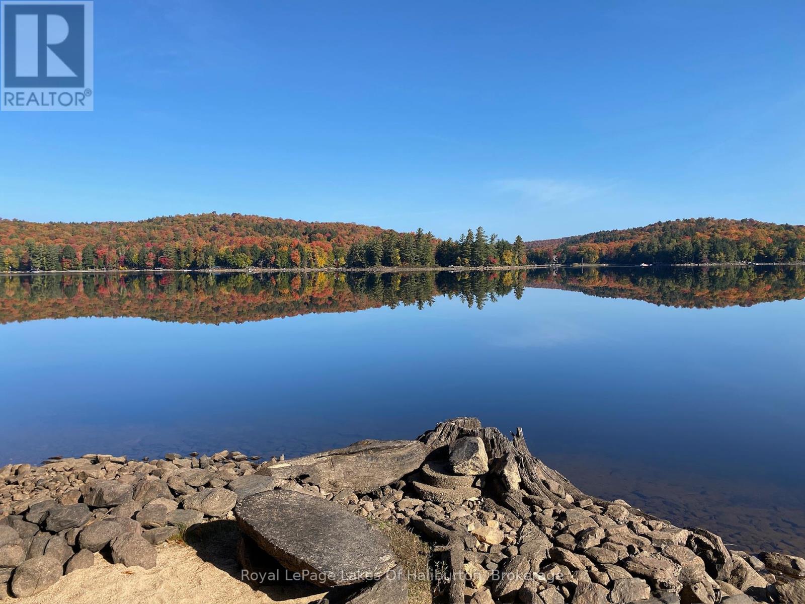 1017 Palace Drive, Dysart Et Al, Ontario  K0M 1S0 - Photo 8 - X12001433