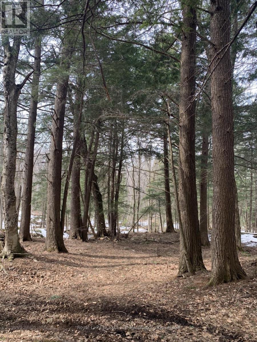 0 KASHAGAWIGAMOG LAKE ROAD, Minden Hills, Ontario