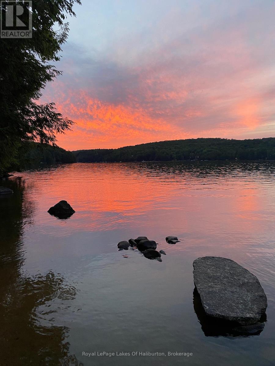 1017 Palace Drive, Dysart Et Al, Ontario  K0M 1S0 - Photo 3 - X12001433