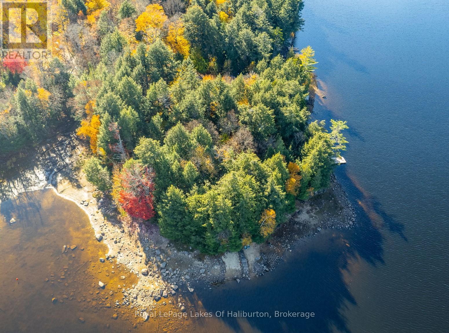 1017 Palace Drive, Dysart Et Al, Ontario  K0M 1S0 - Photo 5 - X12001433