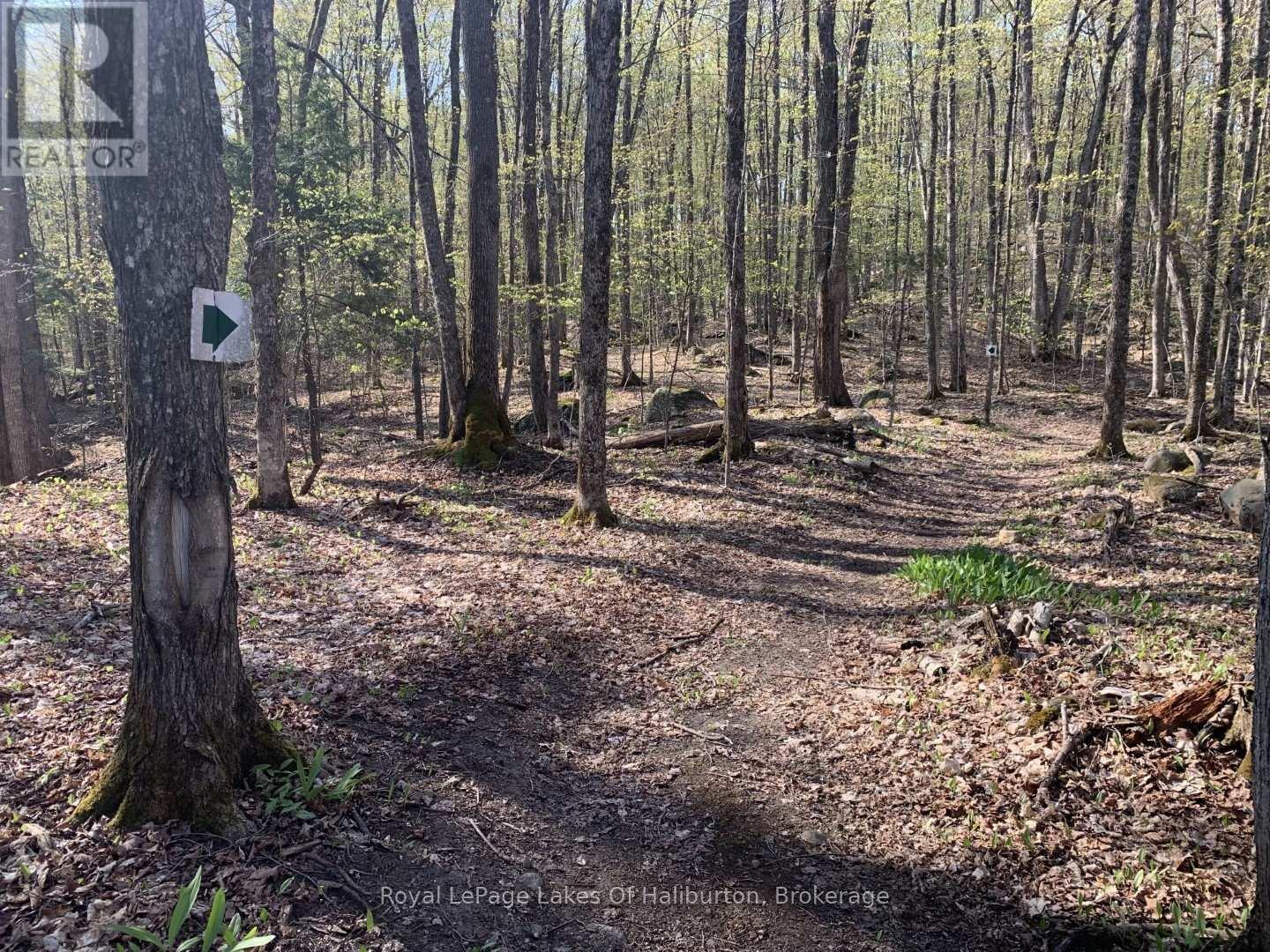 0 Kashagawigamog Lake Road, Minden Hills, Ontario  K0M 1S0 - Photo 11 - X12085655