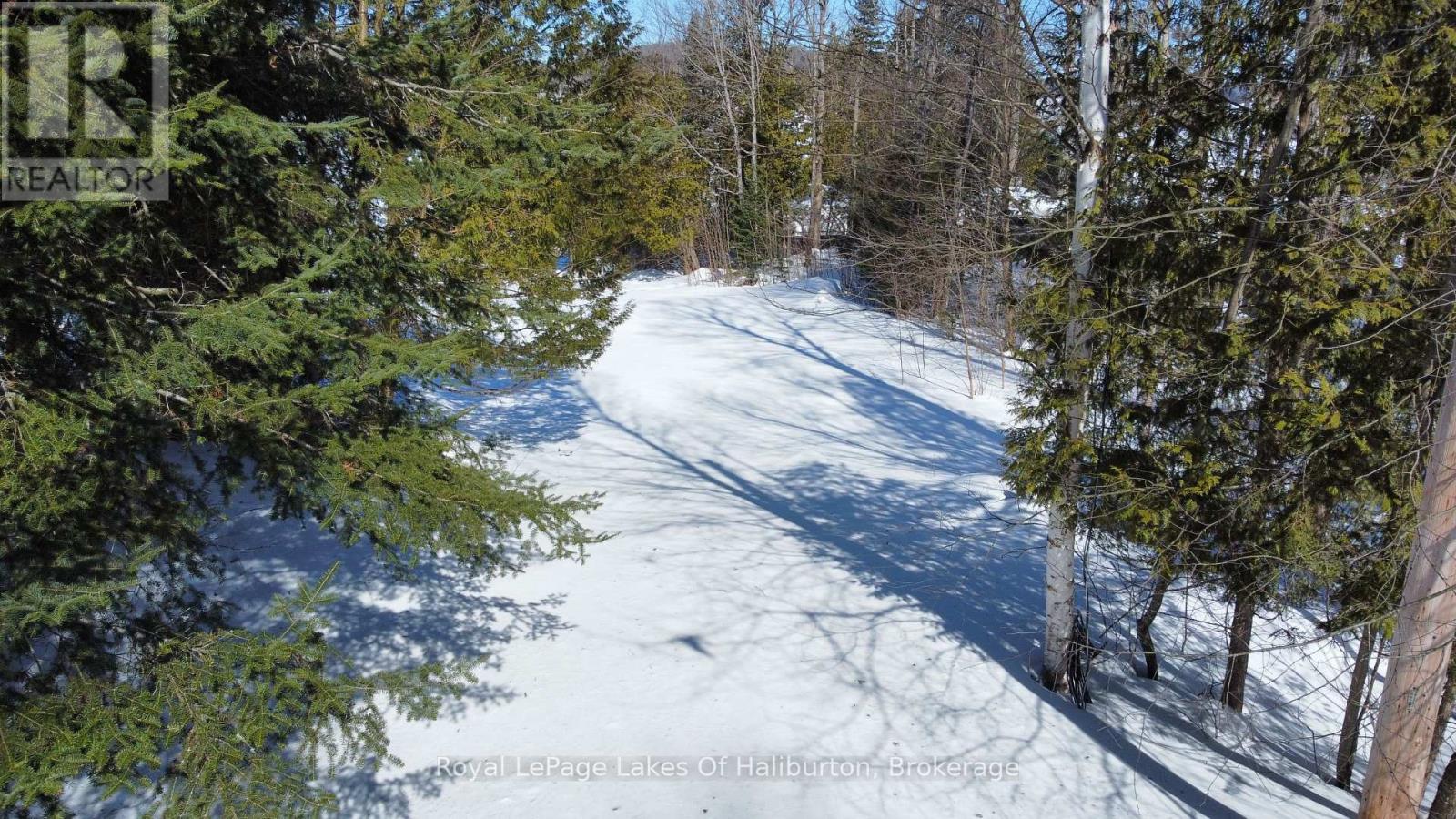 0 Kashagawigamog Lake Road, Dysart Et Al, Ontario  K0M 1S0 - Photo 6 - X12012278