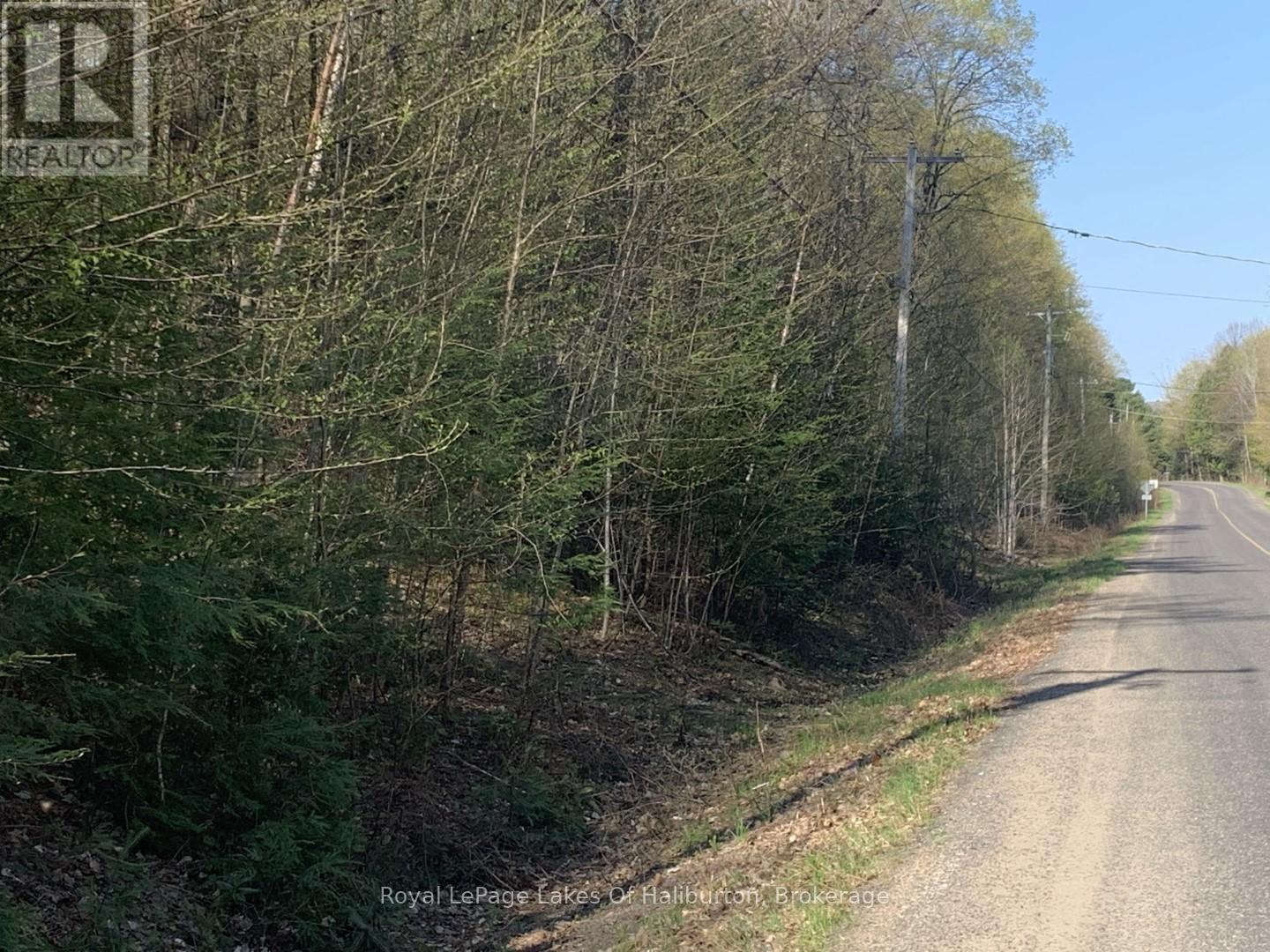 0 Kashagawigamog Lake Road, Minden Hills, Ontario  K0M 1S0 - Photo 22 - X12085655