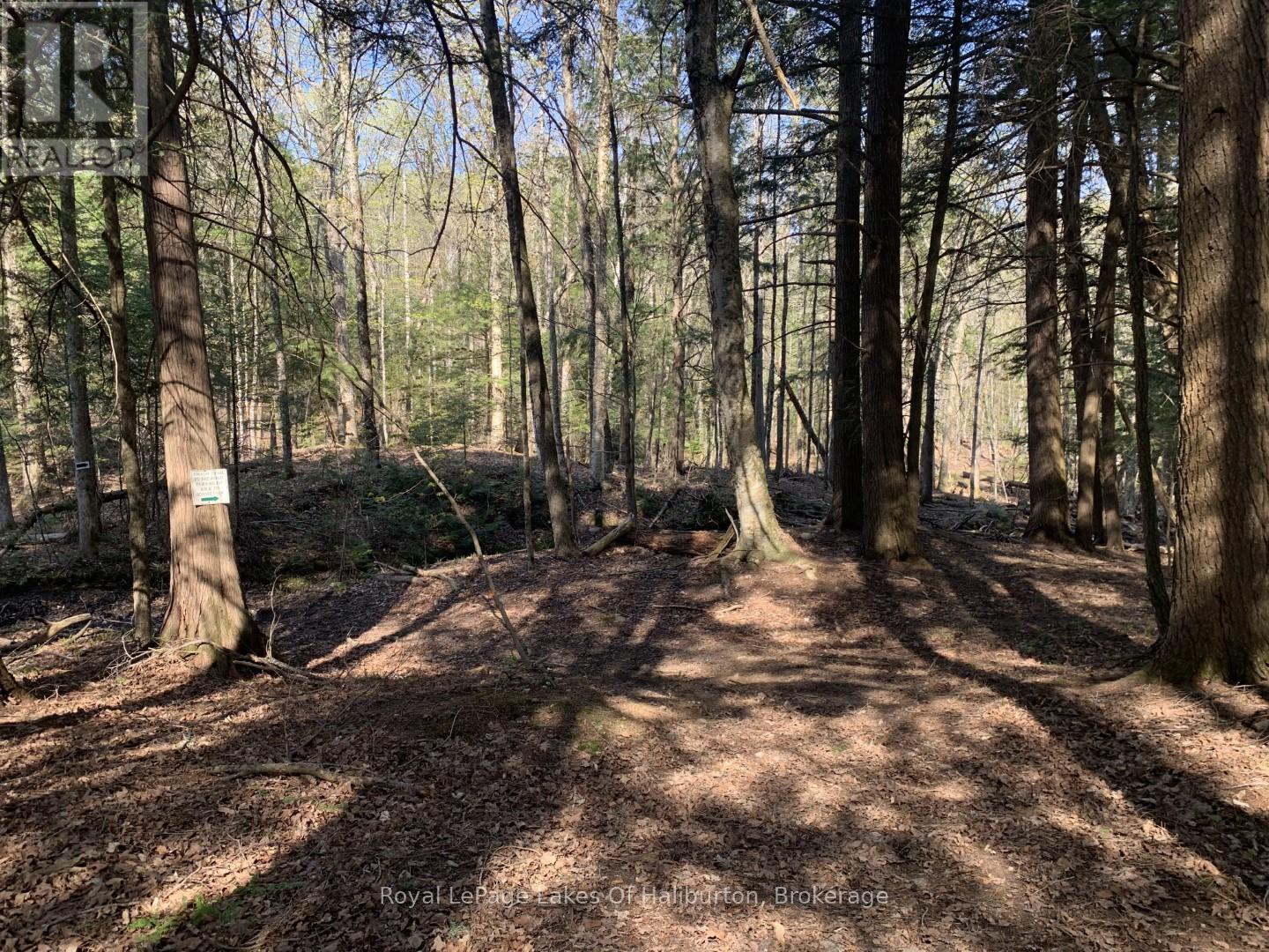 0 Kashagawigamog Lake Road, Minden Hills, Ontario  K0M 1S0 - Photo 19 - X12085655