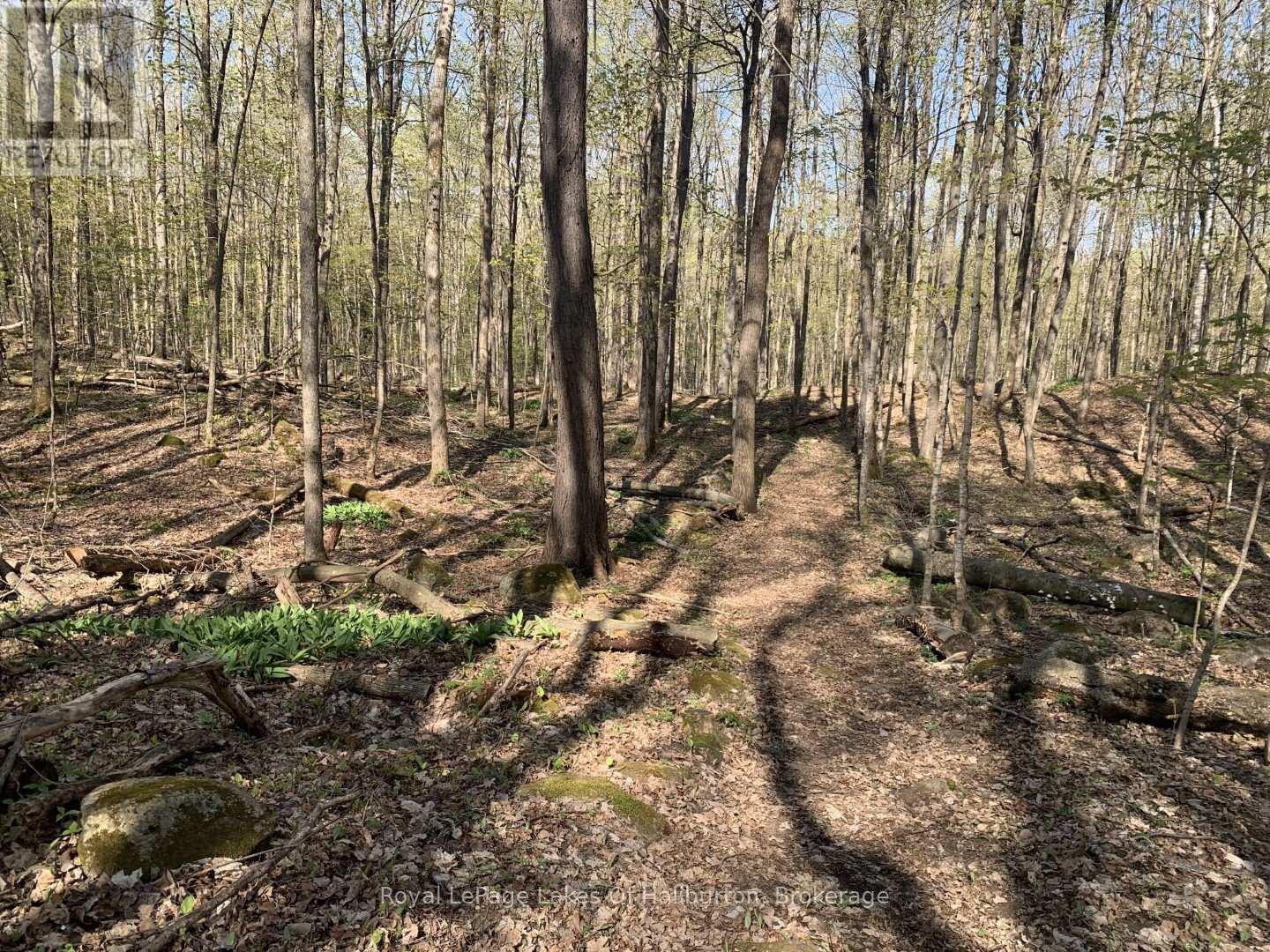 0 Kashagawigamog Lake Road, Minden Hills, Ontario  K0M 1S0 - Photo 20 - X12085655