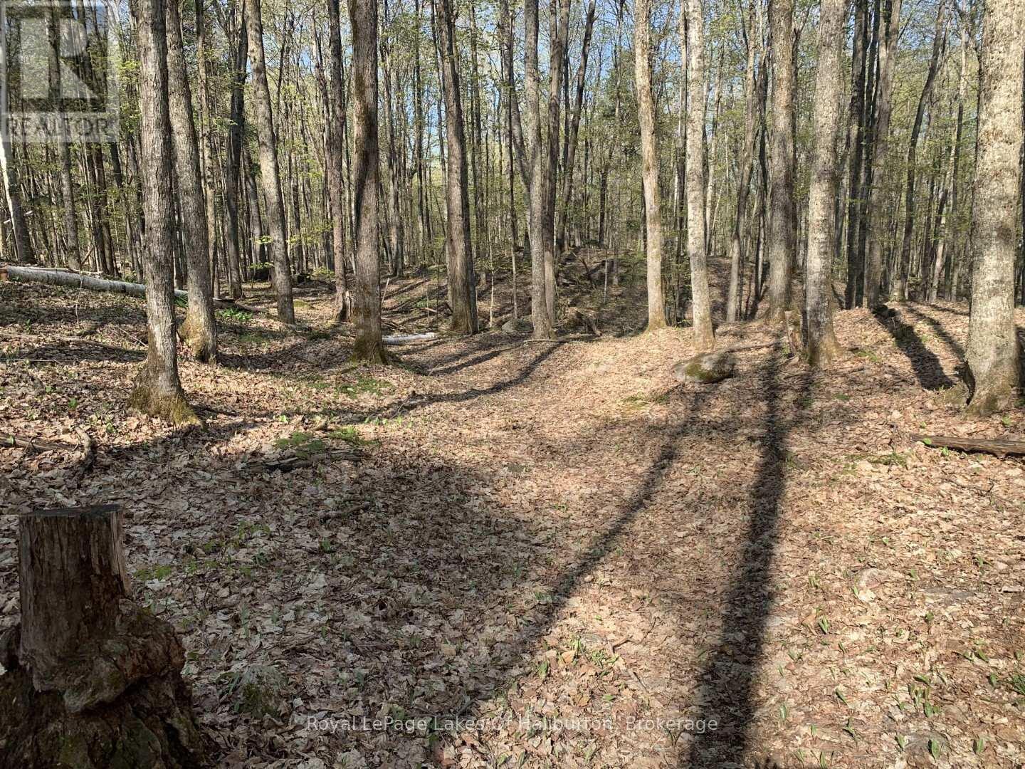 0 Kashagawigamog Lake Road, Minden Hills, Ontario  K0M 1S0 - Photo 2 - X12085655