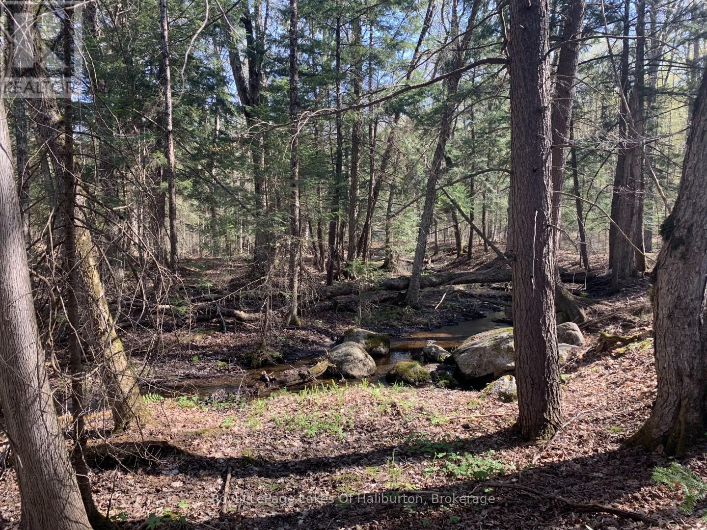 0 Kashagawigamog Lake Road, Minden Hills, Ontario  K0M 1S0 - Photo 18 - X12085655