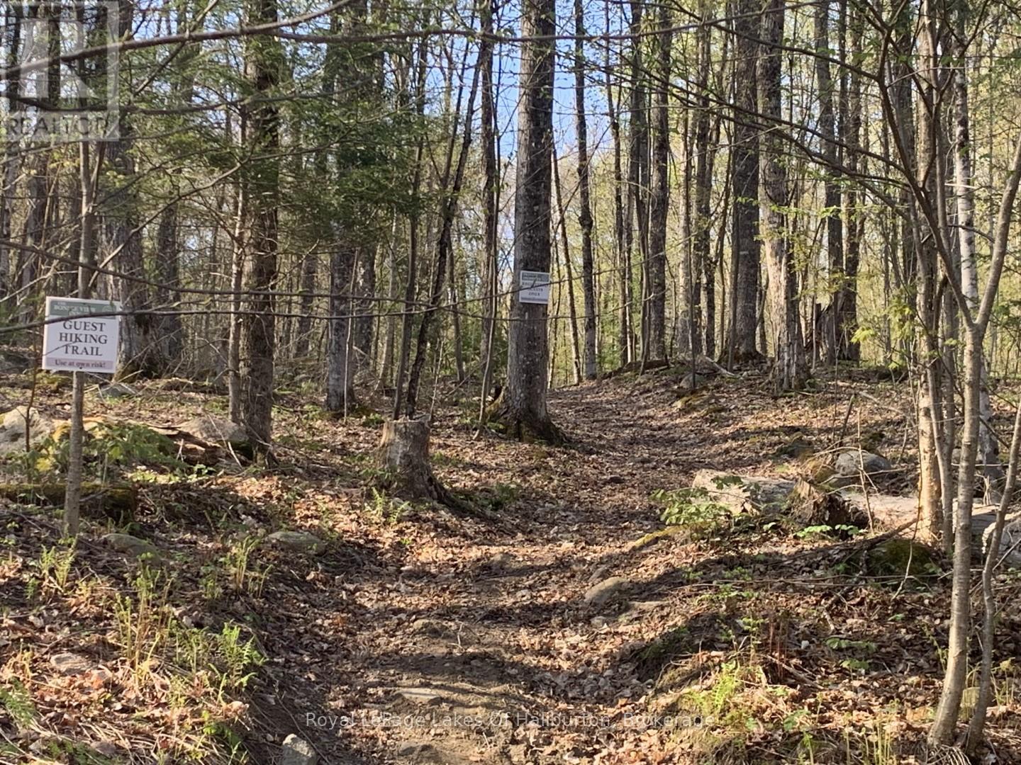 0 Kashagawigamog Lake Road, Minden Hills, Ontario  K0M 1S0 - Photo 21 - X12085655
