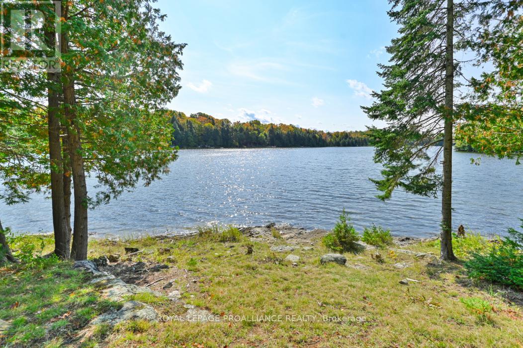 0 Swaugers Lake Road, Frontenac, Ontario  K0H 2M0 - Photo 1 - X12100742