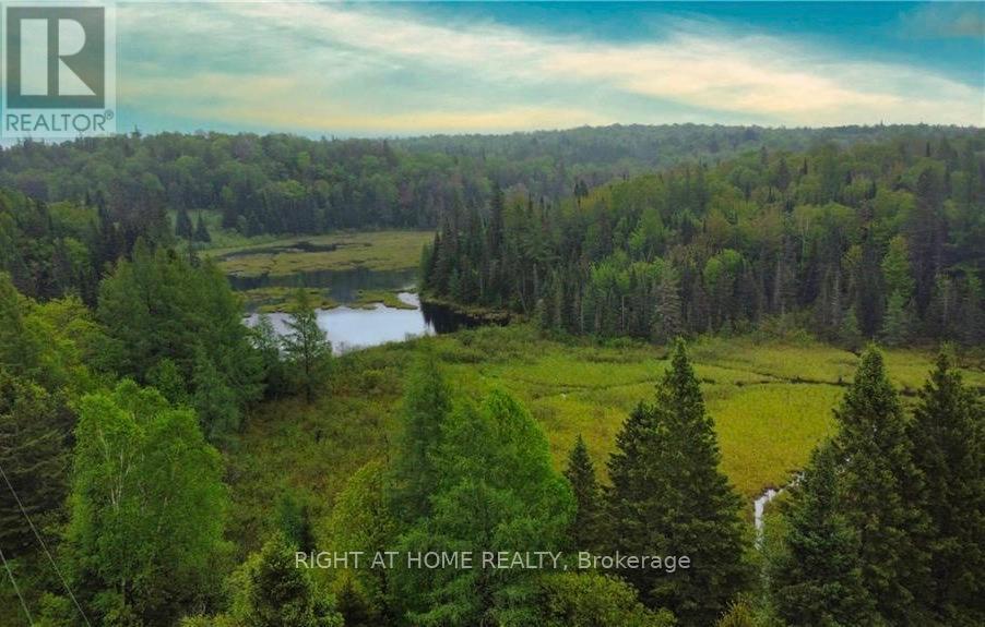 2087 Machar Strong Boundry Road, Strong, Ontario  P0A 1Z0 - Photo 3 - X12079763