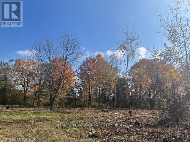 2183 Unity Road, Kingston, Ontario  K0H 1M0 - Photo 10 - X9411844