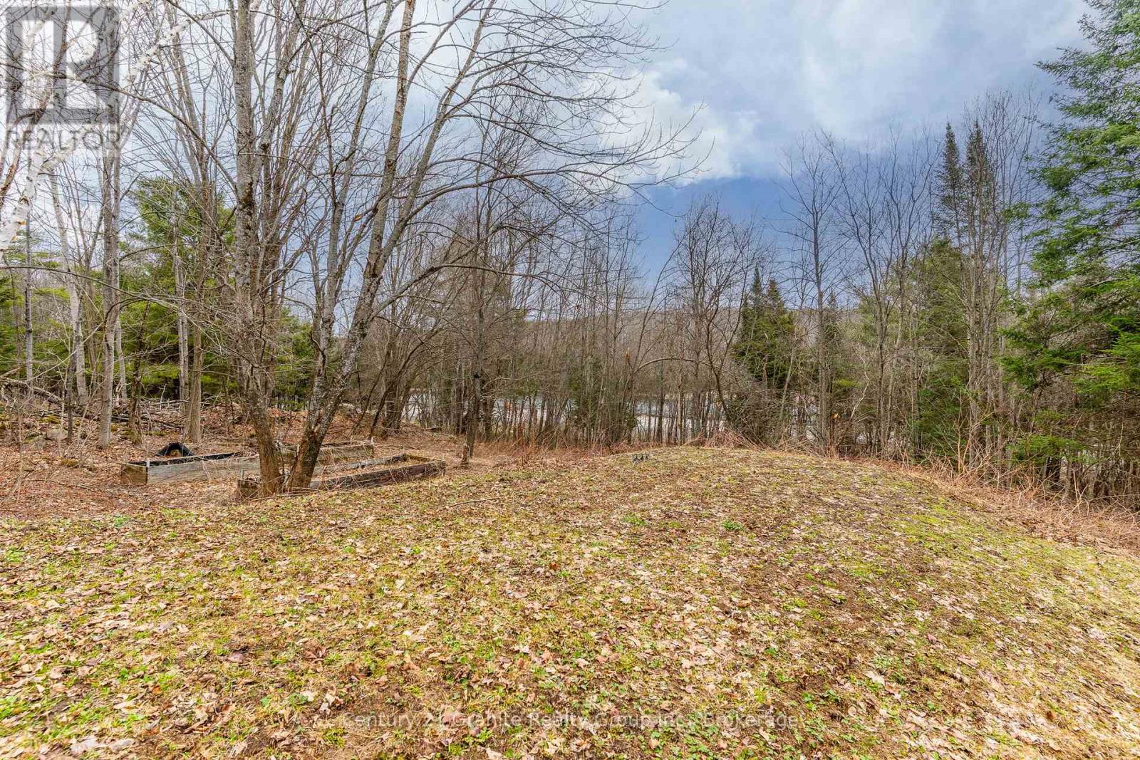 1066 Kernohan Farm Trail, Minden Hills, Ontario  K0M 2K0 - Photo 36 - X12101233