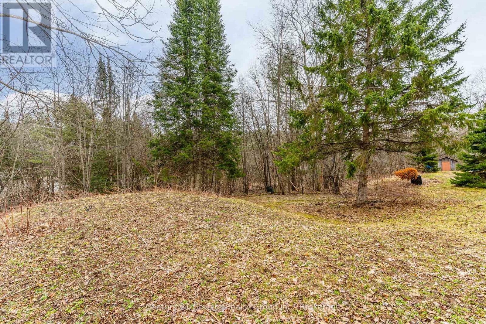 1066 Kernohan Farm Trail, Minden Hills, Ontario  K0M 2K0 - Photo 37 - X12101233