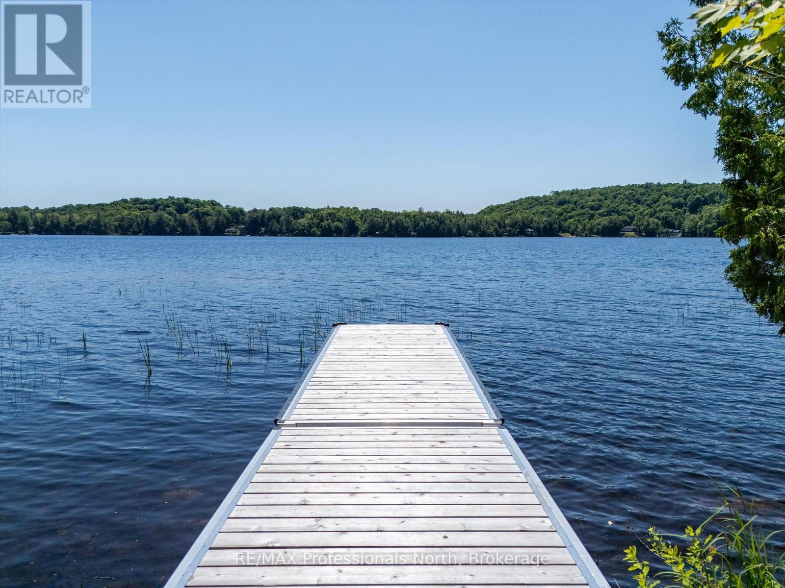 1073 Watson Road, Lake Of Bays, Ontario  P0B 0A3 - Photo 2 - X12101372