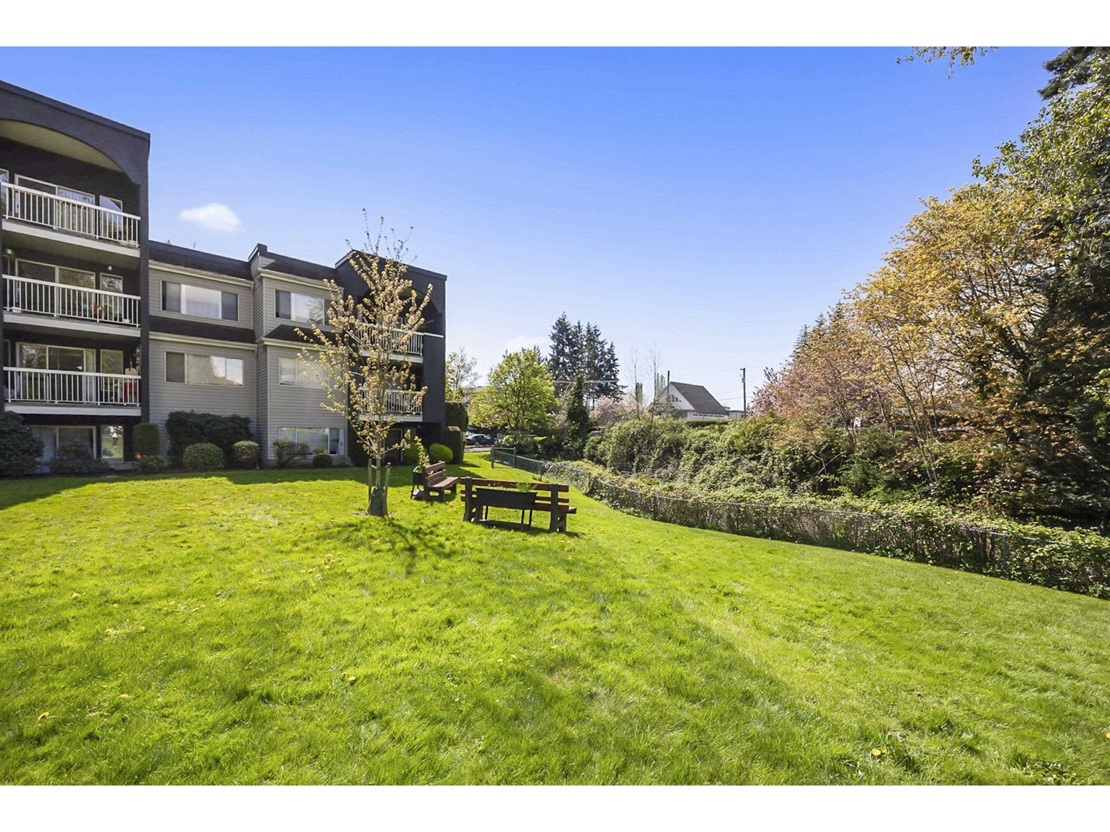 312 5700 200 Street, Langley, British Columbia  V3A 7S6 - Photo 4 - R2992976