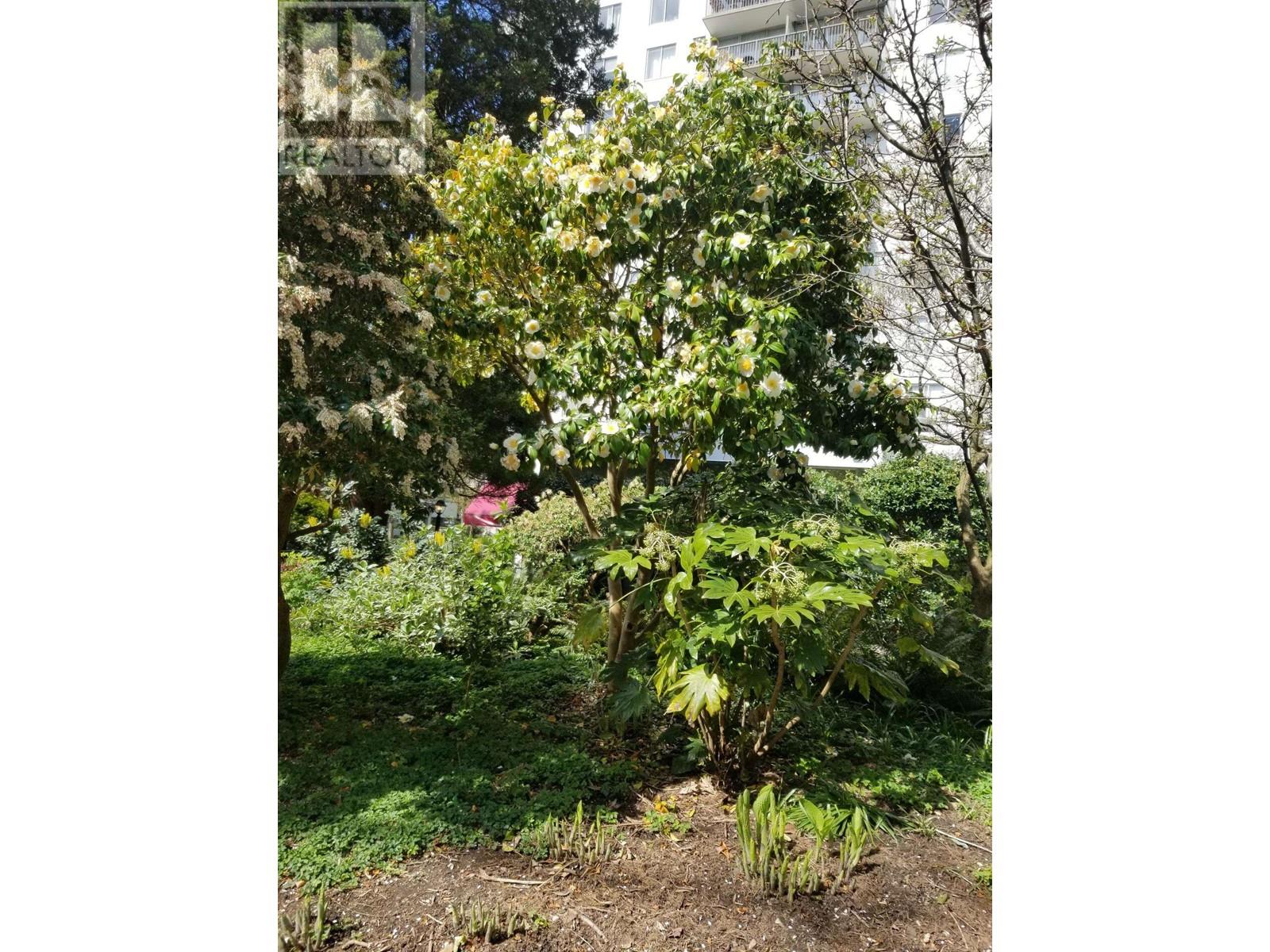 Listing Picture 32 of 39 : 2205 1251 CARDERO STREET, Vancouver / 溫哥華 - 魯藝地產 Yvonne Lu Group - MLS Medallion Club Member