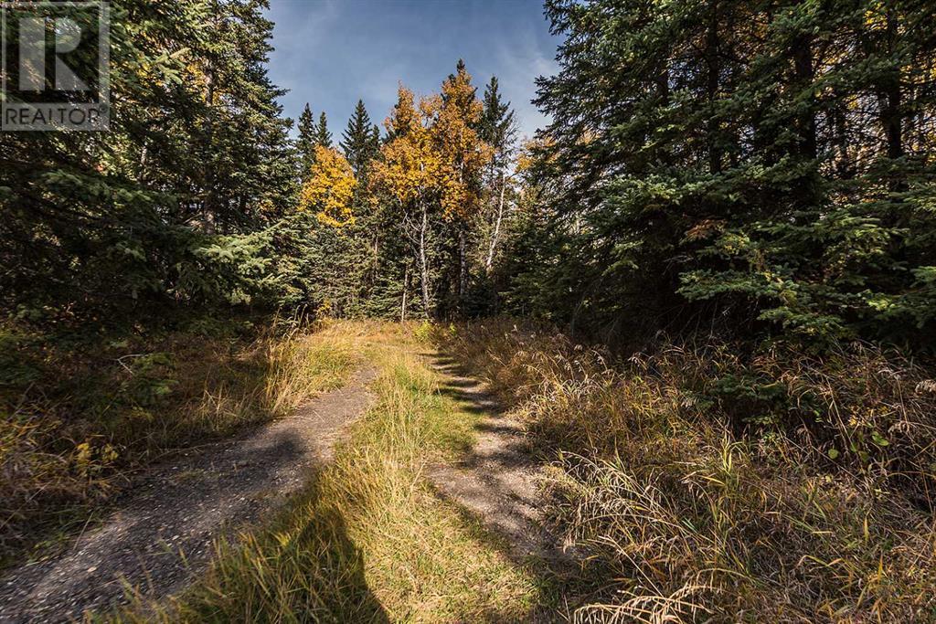 Range Road 12, Rural Red Deer County, Alberta  T4G 0M9 - Photo 4 - A2213739