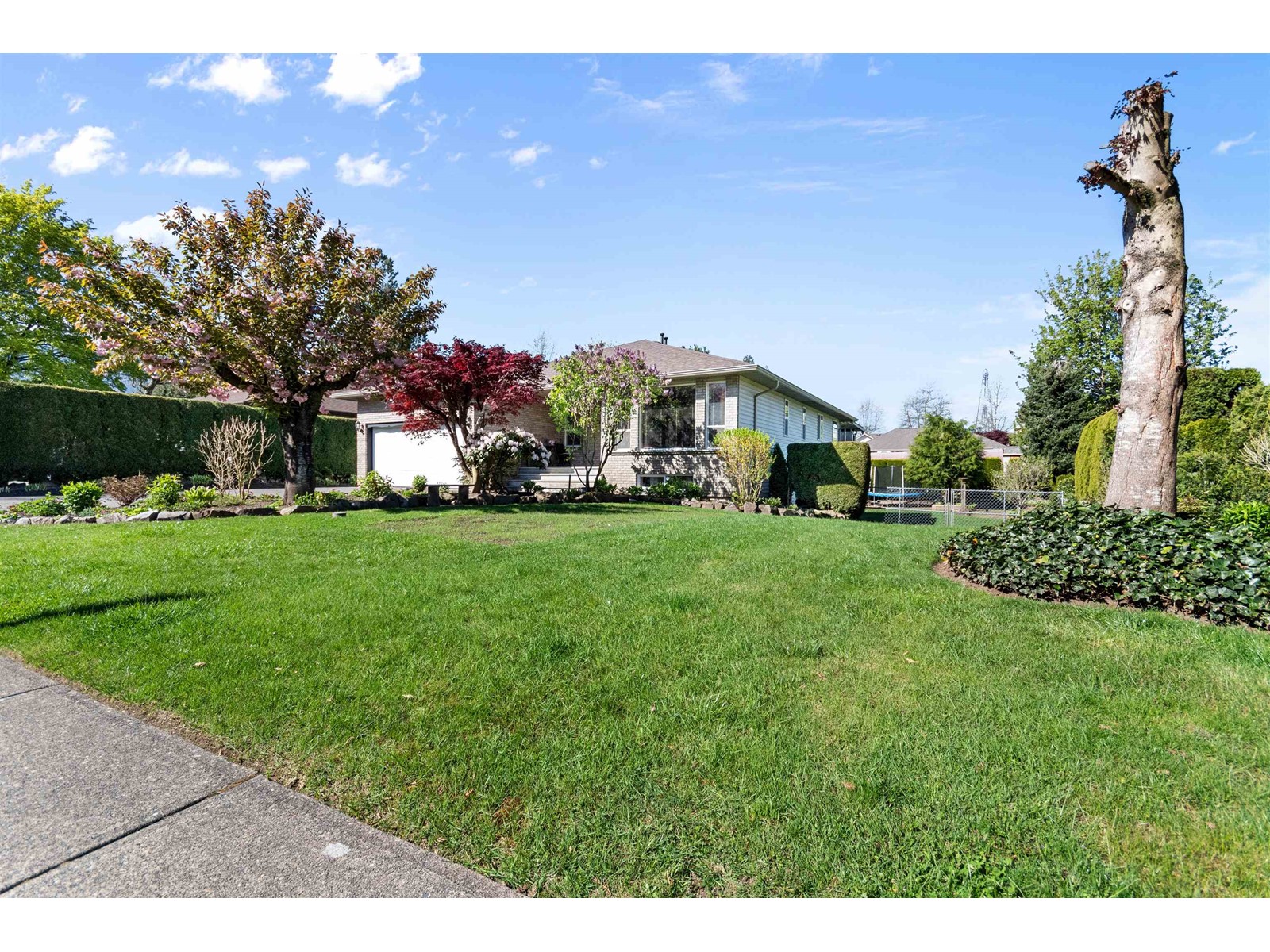 Property at 10243 ROYALWOOD BOULEVARD image 2