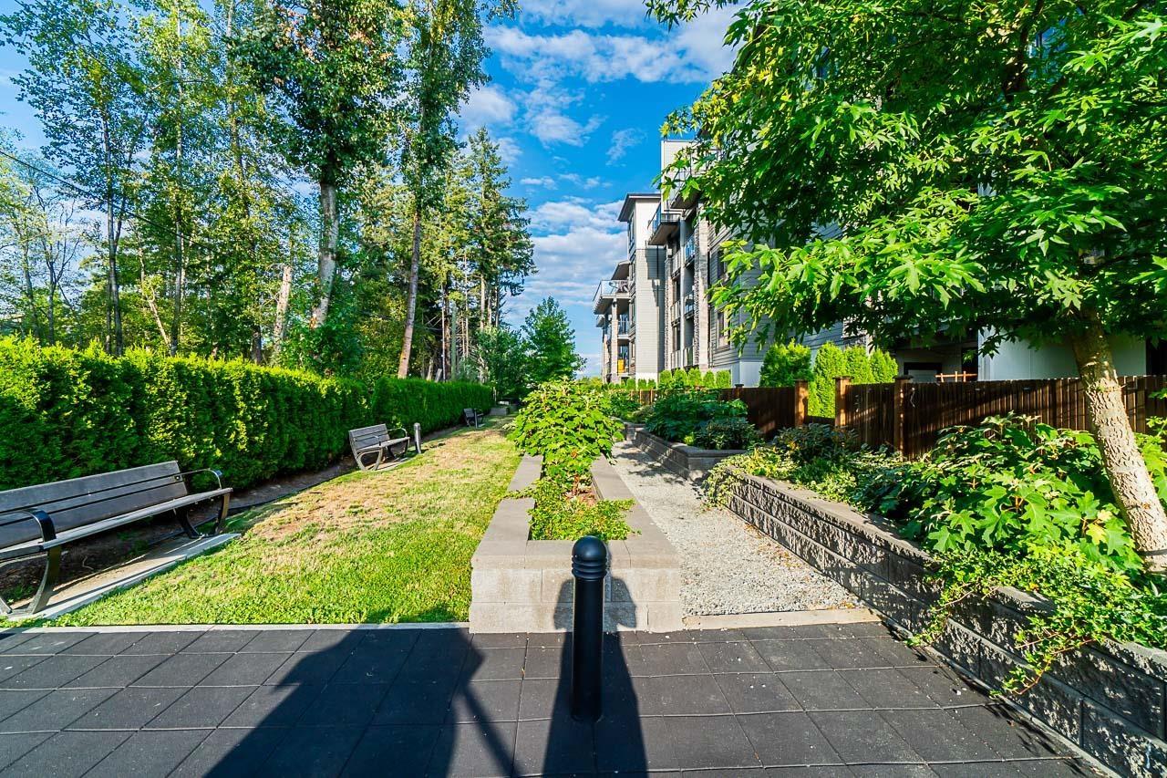 317 15351 101 Avenue, Surrey, British Columbia  V3R 0G2 - Photo 30 - R2993594