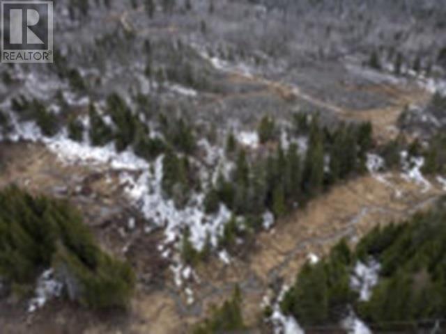 0 Hwy 61, Neebing, Ontario  P7L 0B1 - Photo 10 - TB250860