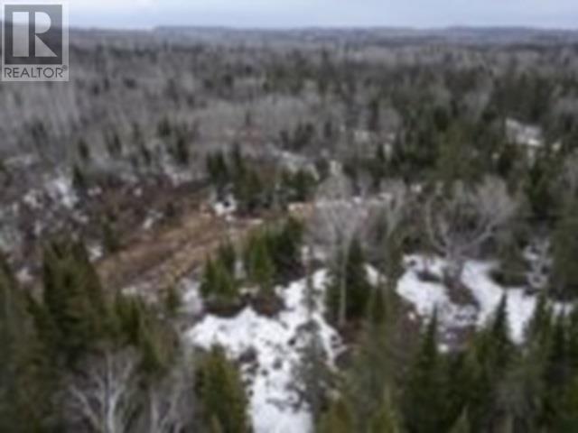 0 Hwy 61, Neebing, Ontario  P7L 0B1 - Photo 24 - TB250860