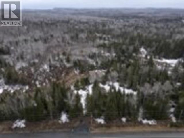 0 Hwy 61, Neebing, Ontario  P7L 0B1 - Photo 7 - TB250860