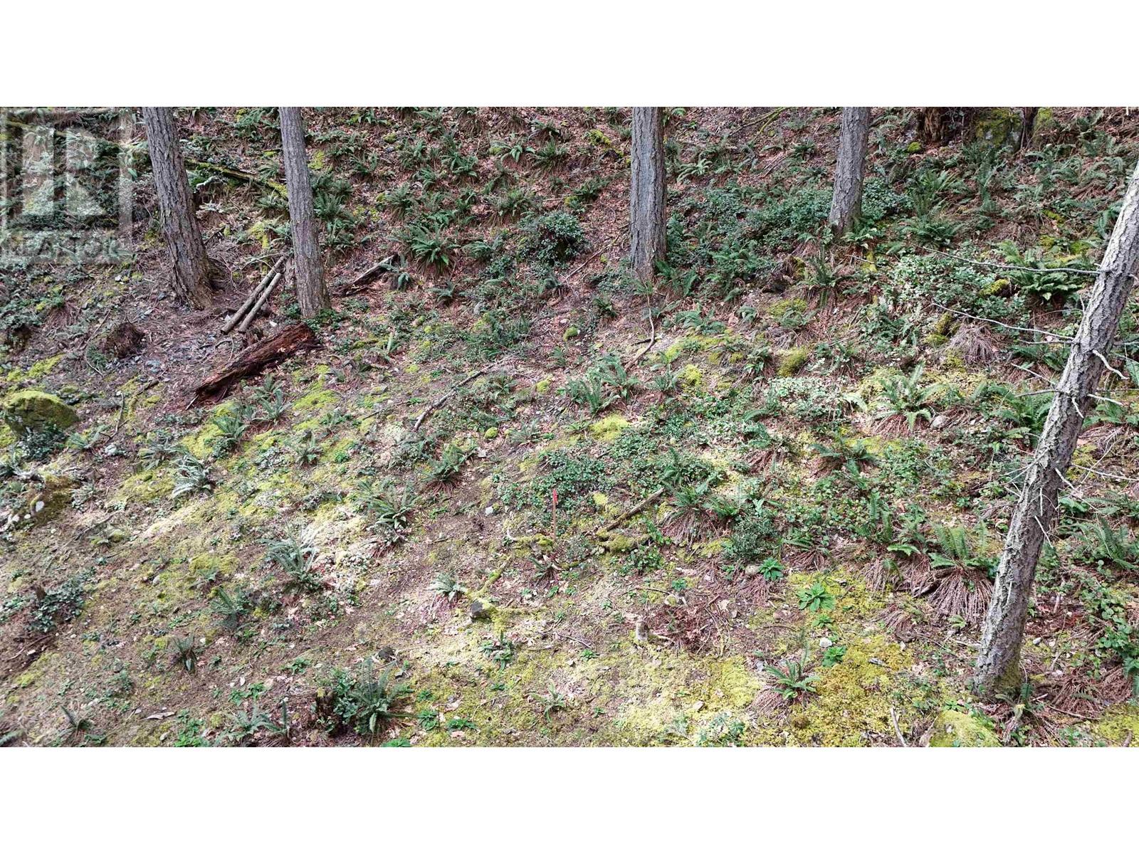1588 Eagle Cliff Road, Bowen Island, British Columbia  V0N 1G1 - Photo 12 - R2993982