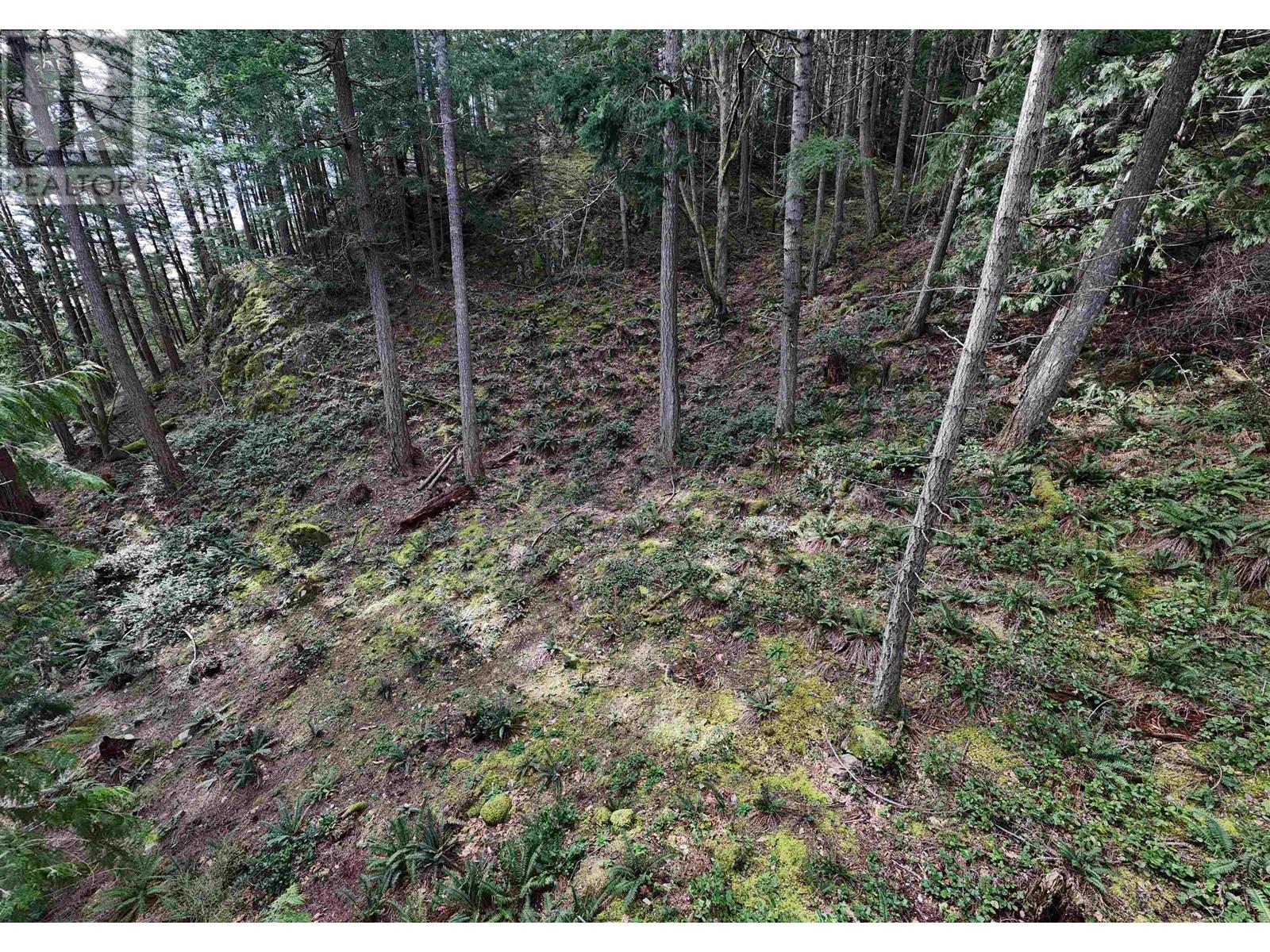 1588 Eagle Cliff Road, Bowen Island, British Columbia  V0N 1G1 - Photo 15 - R2993982