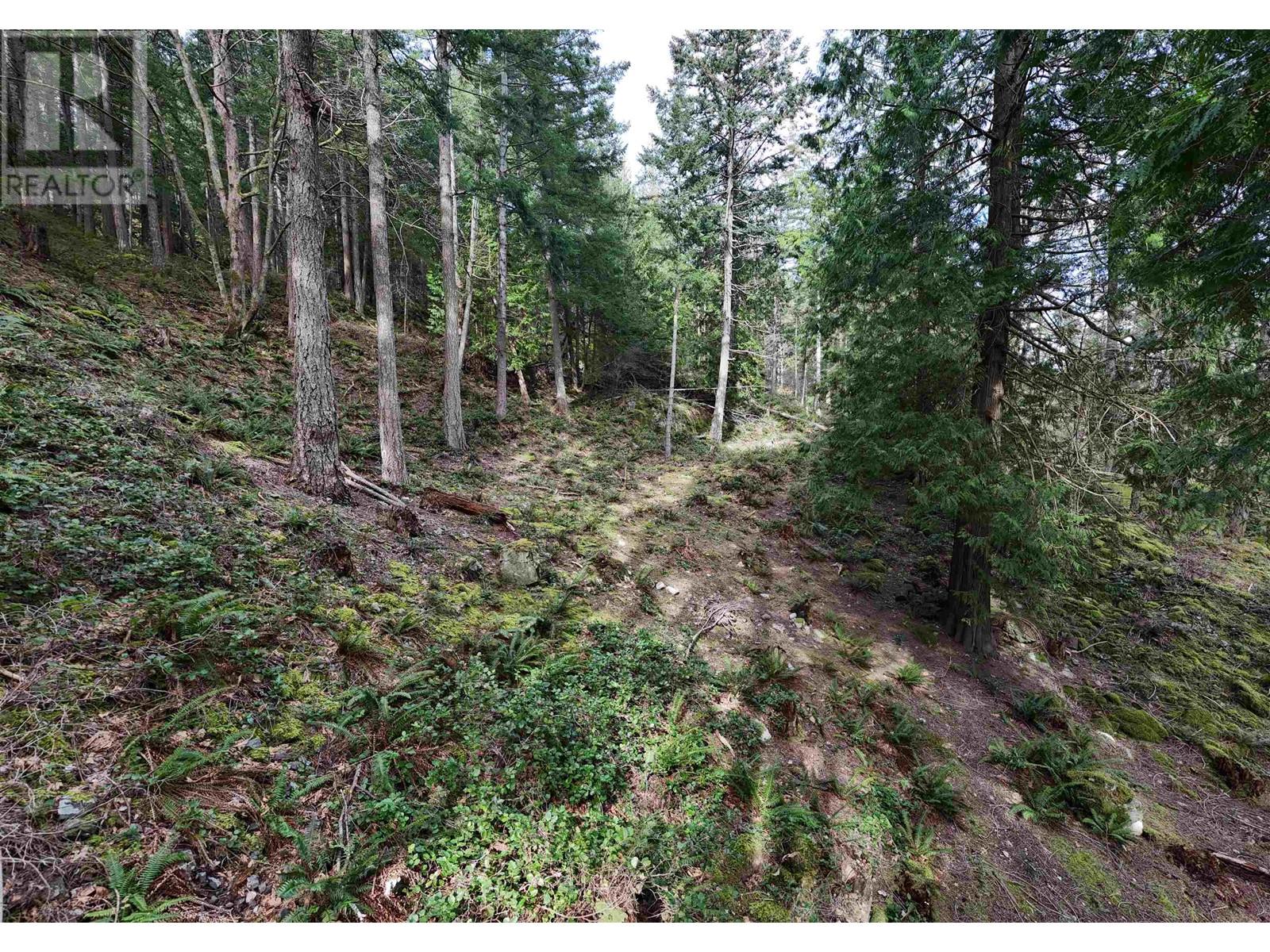 1588 Eagle Cliff Road, Bowen Island, British Columbia  V0N 1G1 - Photo 16 - R2993982